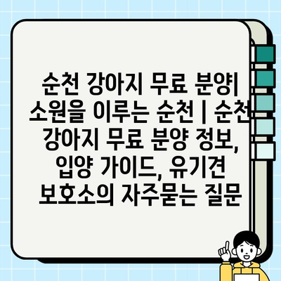 순천 강아지 무료 분양| 소원을 이루는 순천 | 순천 강아지 무료 분양 정보, 입양 가이드, 유기견 보호소