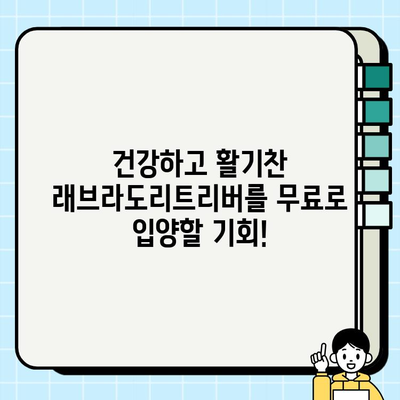 안산에서 무료 분양하는 충성스러운 래브라도리트리버 만나보세요! | 강아지 무료 분양, 안산, 래브라도리트리버