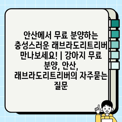 안산에서 무료 분양하는 충성스러운 래브라도리트리버 만나보세요! | 강아지 무료 분양, 안산, 래브라도리트리버
