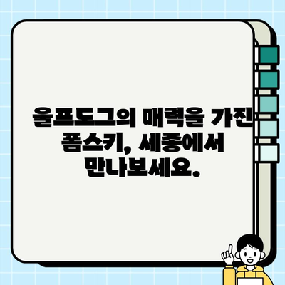 세종 폼스키 무료 분양| 울프도그와의 사랑 이야기 | 폼스키 분양, 세종시, 무료 분양, 울프도그