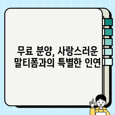 아산에서 무료 분양 받은 말티폼 하이브리드견| 사랑스러운 털아이와의 특별한 만남 | 아산, 말티폼, 하이브리드견, 무료 분양, 입양 후기