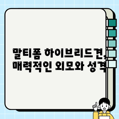 아산에서 무료 분양 받은 말티폼 하이브리드견| 사랑스러운 털아이와의 특별한 만남 | 아산, 말티폼, 하이브리드견, 무료 분양, 입양 후기