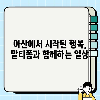 아산에서 무료 분양 받은 말티폼 하이브리드견| 사랑스러운 털아이와의 특별한 만남 | 아산, 말티폼, 하이브리드견, 무료 분양, 입양 후기