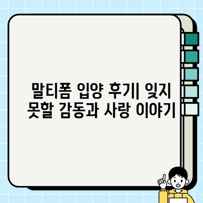 아산에서 무료 분양 받은 말티폼 하이브리드견| 사랑스러운 털아이와의 특별한 만남 | 아산, 말티폼, 하이브리드견, 무료 분양, 입양 후기
