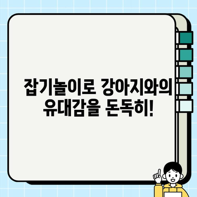 강아지와 즐거운 잡기놀이! 🐶  | 강아지 놀이, 훈련,  교감, 팁