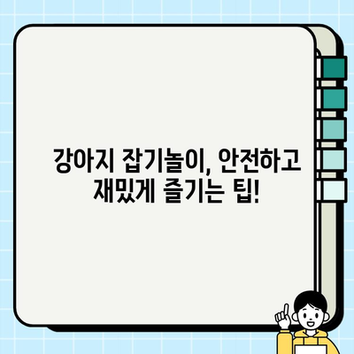강아지와 즐거운 잡기놀이! 🐶  | 강아지 놀이, 훈련,  교감, 팁