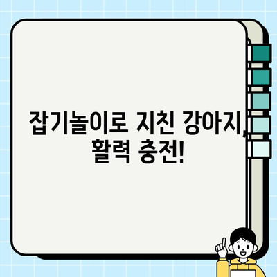 강아지와 즐거운 잡기놀이! 🐶  | 강아지 놀이, 훈련,  교감, 팁