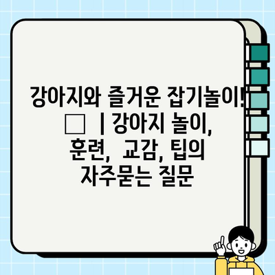 강아지와 즐거운 잡기놀이! 🐶  | 강아지 놀이, 훈련,  교감, 팁