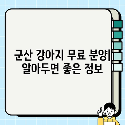 군산 강아지 무료 분양| 궁금증 해결 & 꿀팁 대방출 | 군산, 강아지, 입양, 무료 분양, 정보