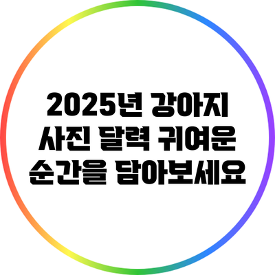 2025년 강아지 사진 달력: 귀여운 순간을 담아보세요