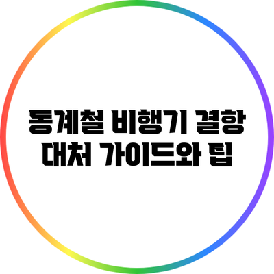 동계철 비행기 결항 대처 가이드와 팁