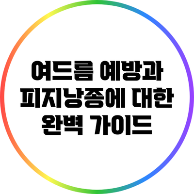 여드름 예방과 피지낭종에 대한 완벽 가이드