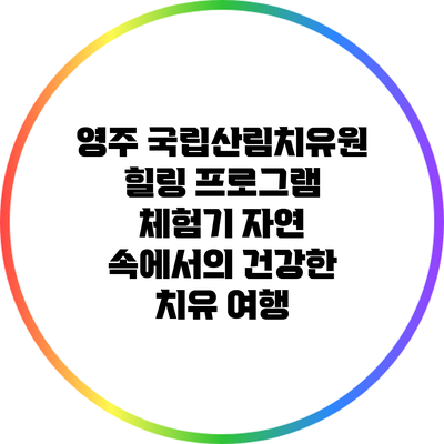 영주 국립산림치유원 힐링 프로그램 체험기: 자연 속에서의 건강한 치유 여행