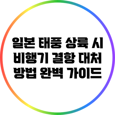 일본 태풍 상륙 시 비행기 결항 대처 방법 완벽 가이드