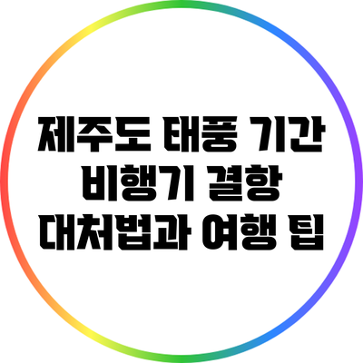 제주도 태풍 기간 비행기 결항 대처법과 여행 팁