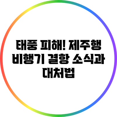 태풍 피해! 제주행 비행기 결항 소식과 대처법