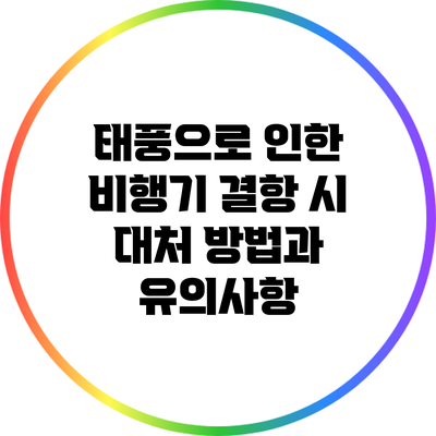 태풍으로 인한 비행기 결항 시 대처 방법과 유의사항