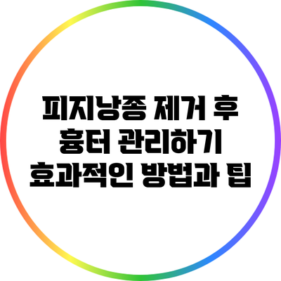 피지낭종 제거 후 흉터 관리하기: 효과적인 방법과 팁