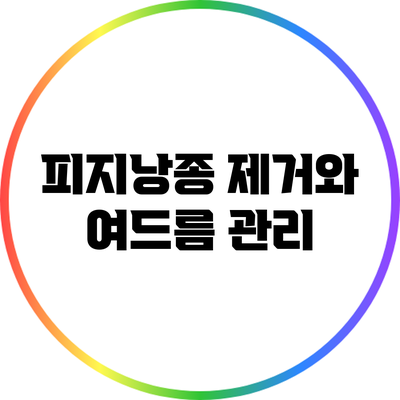피지낭종 제거와 여드름 관리