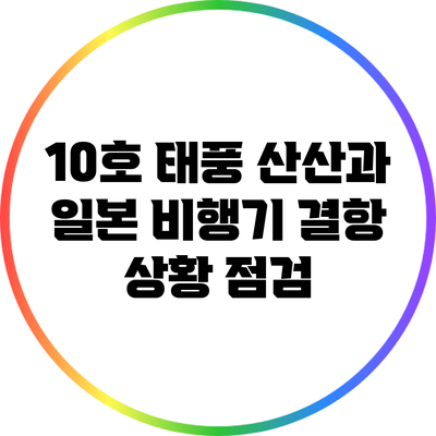 10호 태풍 산산과 일본 비행기 결항 상황 점검