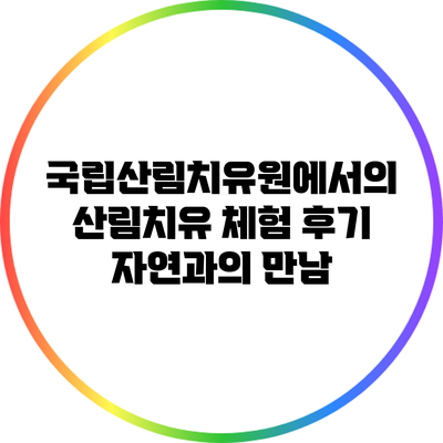 국립산림치유원에서의 산림치유 체험 후기: 자연과의 만남