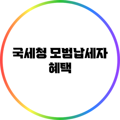 국세청 모범납세자 혜택