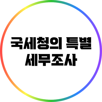 국세청의 특별 세무조사