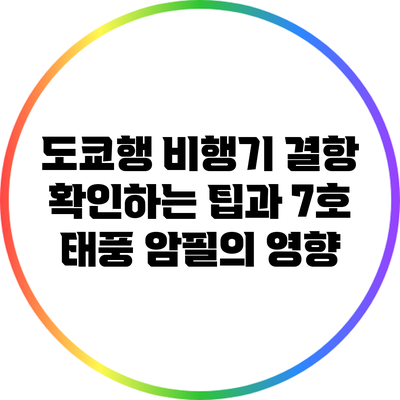 도쿄행 비행기 결항 확인하는 팁과 7호 태풍 암필의 영향