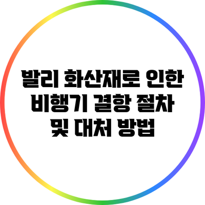 발리 화산재로 인한 비행기 결항 절차 및 대처 방법