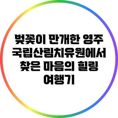 벚꽃이 만개한 영주 국립산림치유원에서 찾은 마음의 힐링 여행기