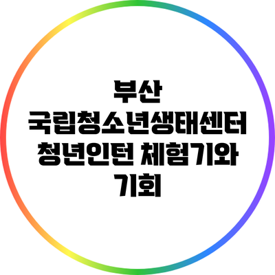 부산 국립청소년생태센터 청년인턴 체험기와 기회