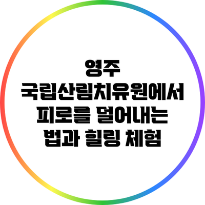 영주 국립산림치유원에서 피로를 덜어내는 법과 힐링 체험