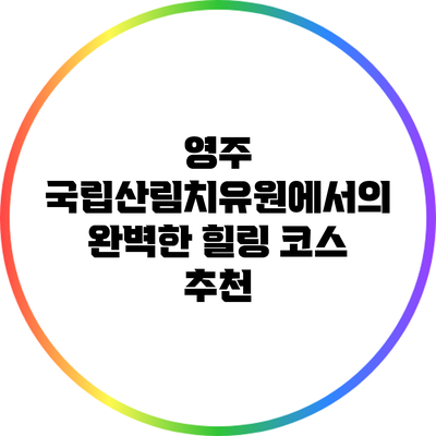 영주 국립산림치유원에서의 완벽한 힐링 코스 추천