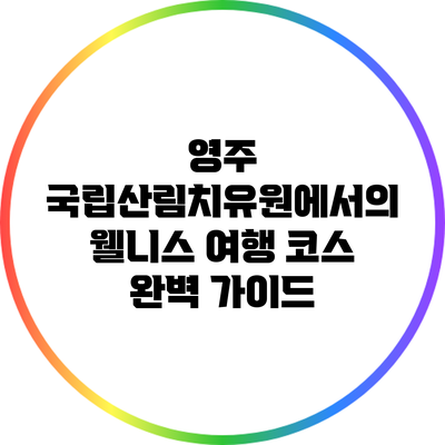 영주 국립산림치유원에서의 웰니스 여행 코스 완벽 가이드