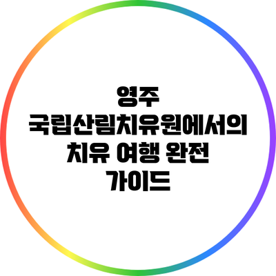 영주 국립산림치유원에서의 치유 여행 완전 가이드
