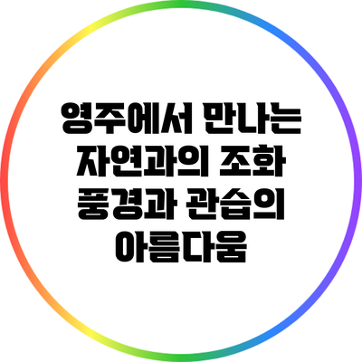 영주에서 만나는 자연과의 조화: 풍경과 관습의 아름다움