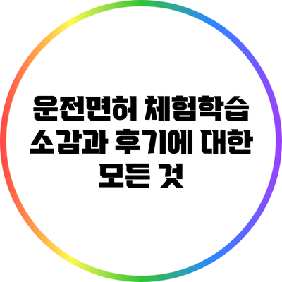 운전면허 체험학습: 소감과 후기에 대한 모든 것