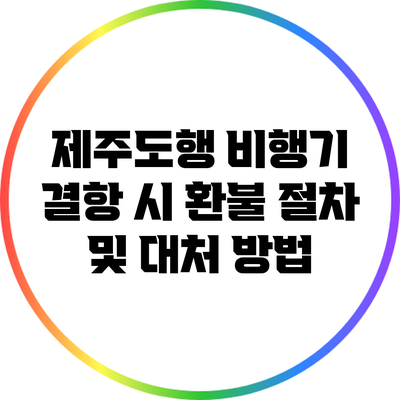 제주도행 비행기 결항 시 환불 절차 및 대처 방법