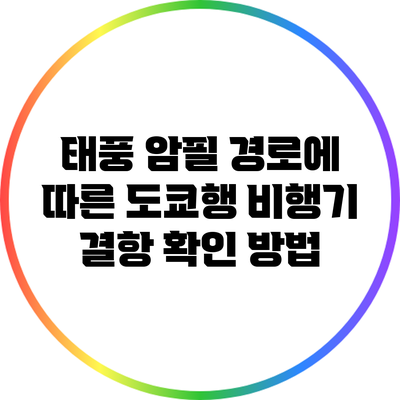 태풍 암필 경로에 따른 도쿄행 비행기 결항 확인 방법