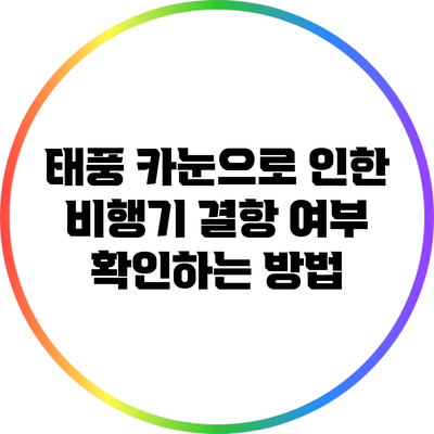 태풍 카눈으로 인한 비행기 결항 여부 확인하는 방법