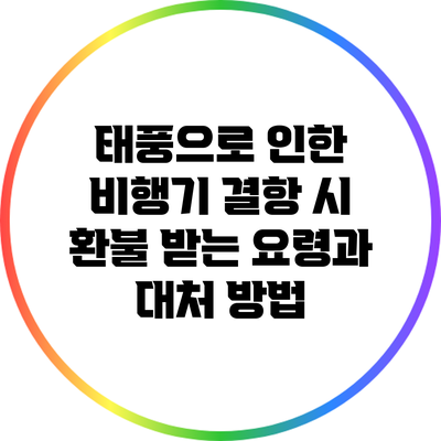 태풍으로 인한 비행기 결항 시 환불 받는 요령과 대처 방법