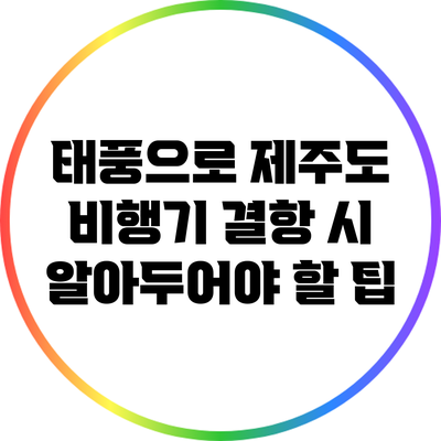 태풍으로 제주도 비행기 결항 시 알아두어야 할 팁