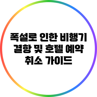 폭설로 인한 비행기 결항 및 호텔 예약 취소 가이드
