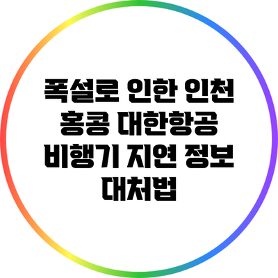 폭설로 인한 인천 > 홍콩 대한항공 비행기 지연 정보 대처법