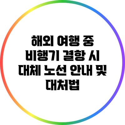해외 여행 중 비행기 결항 시 대체 노선 안내 및 대처법