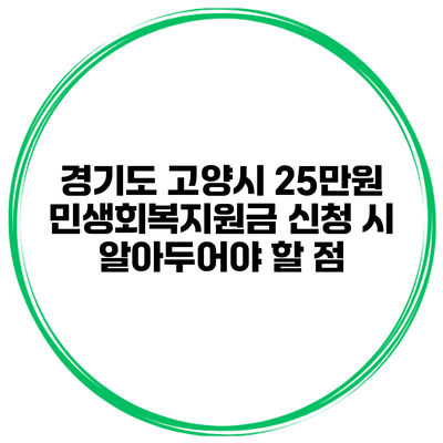 경기도 고양시 25만원 민생회복지원금 신청 시 알아두어야 할 점