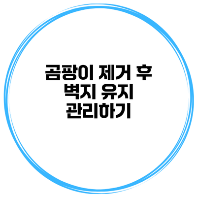 곰팡이 제거 후 벽지 유지 관리하기