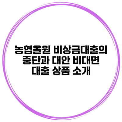 농협올원 비상금대출의 중단과 대안 비대면 대출 상품 소개