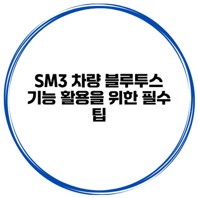 SM3 차량 블루투스 기능 활용을 위한 필수 팁