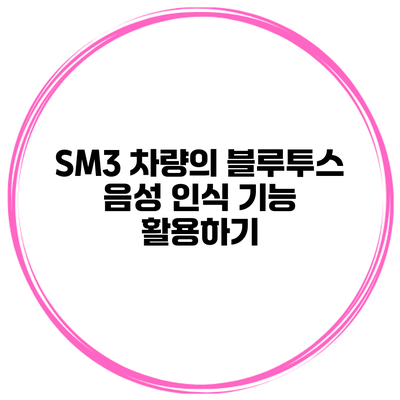 SM3 차량의 블루투스 음성 인식 기능 활용하기